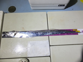 180919-3.jpg