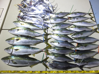 190212-1.jpg