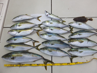 190531-1.jpg