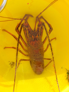 190731-2.jpg