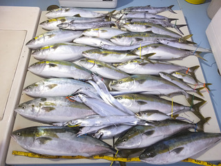 190918-2.jpg