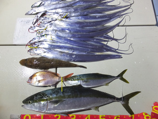 201014-1.jpg