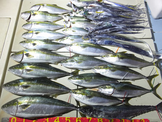201103-1.jpg