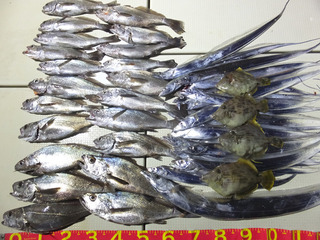 201107-1.jpg