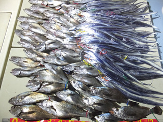 201113-2.jpg