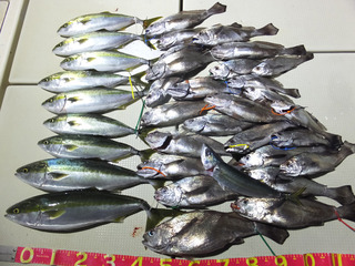 220109-1.jpg