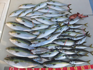 220126-1.jpg