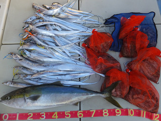 220814-3.jpg