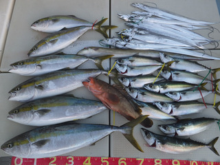 220924-1.jpg
