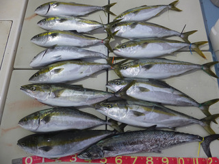 221009-1.jpg