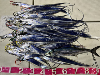 231103-7.jpg