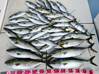 240412-2.jpg