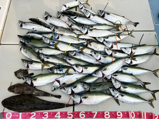 240524-2.jpg