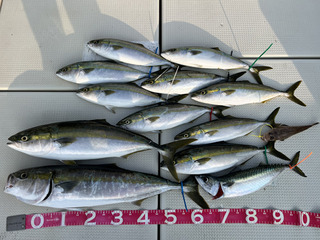 240602-1.jpg
