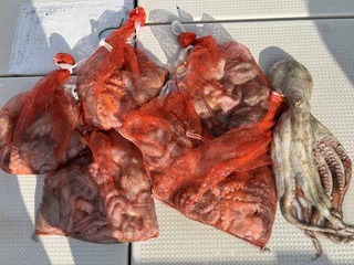 240704-5.jpg