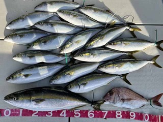 240706-3.jpg
