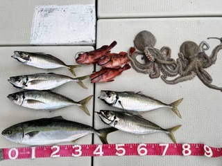 240715-2.jpg