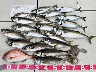 240716-2.jpg
