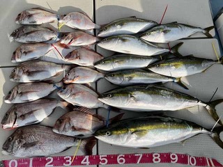 240720-5.jpg