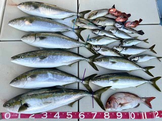 240803-2.jpg