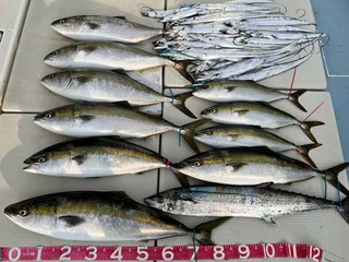 240805-1.jpg