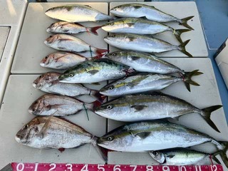 240814-2.jpg