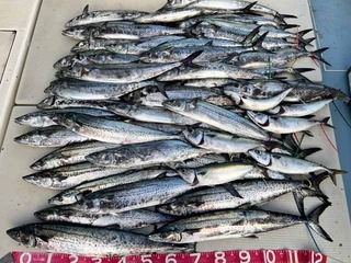 240818-2.jpg