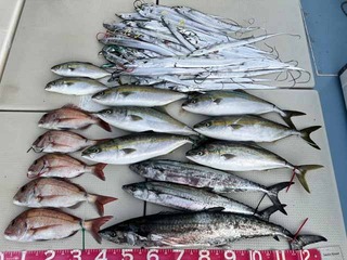 240824-1.jpg