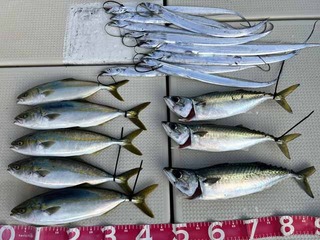 240903-1.jpg