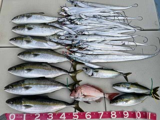 240915-1.jpg