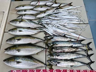 240924-1.jpg