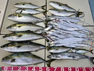 240926-1.jpg