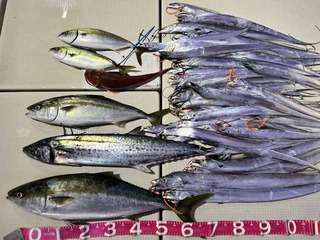 240928-1.jpg