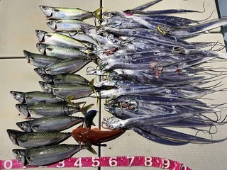 241011-2.jpg