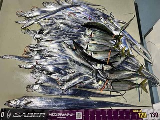 241109-2.jpg