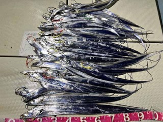 241114-3.jpg