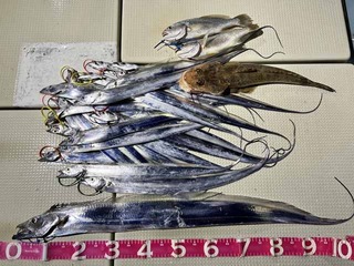 241121-2.jpg