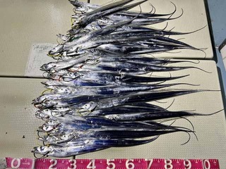 241122-2.jpg