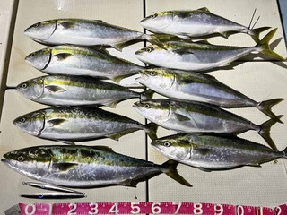 241202-1.jpg