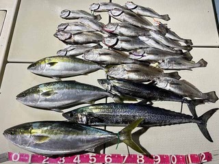 241226-1.jpg
