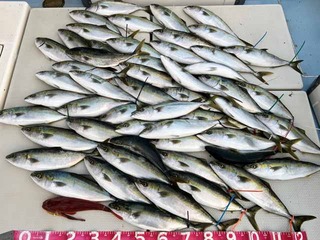 250114-2.jpg