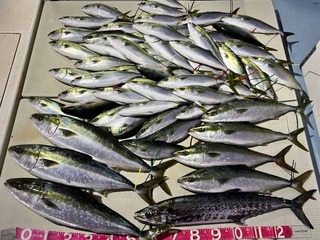 250116-1.jpg
