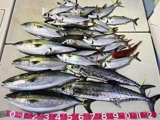 250120-1.jpg