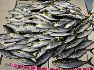 250120-2.jpg