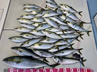 250122-1.jpg