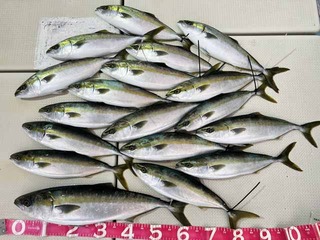 250127-1.jpg