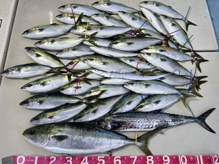 250131-1.jpg