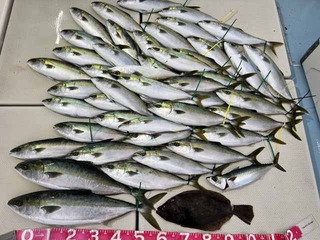 250209-1.jpg
