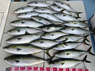 250215-1.jpg