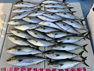 250216-1.jpg